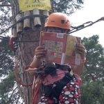Dziewczynka czyta książkę podczas wspinaczki w parku linowym
