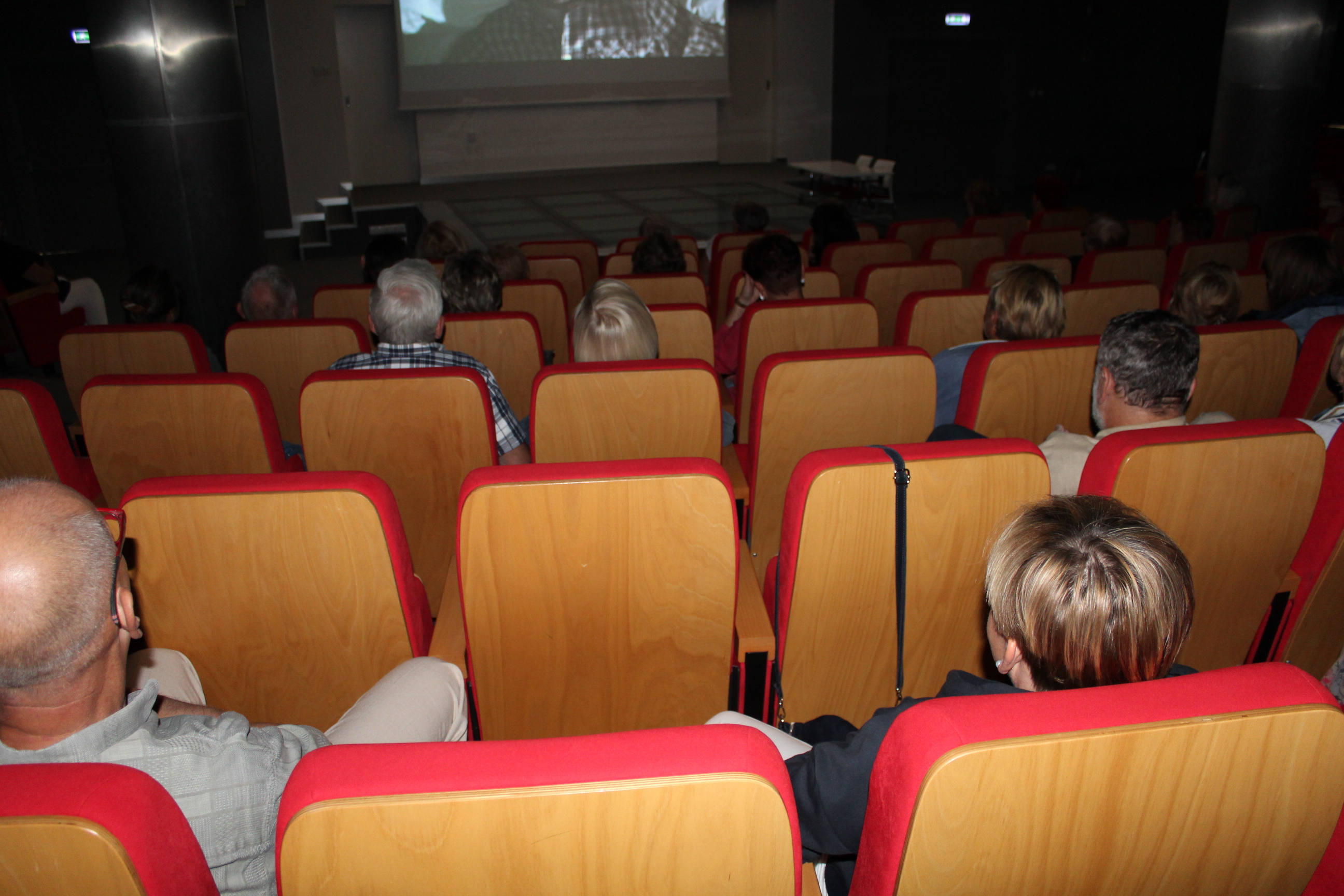 Widzowie oglądają film w zaciemnionej sali.