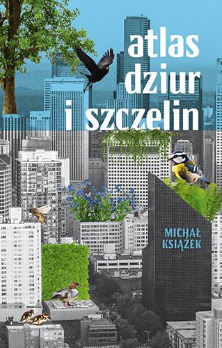 Poglądowy obraz okładki Okładka