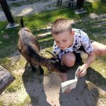 Chłopiec czyta książkę koziolkowi