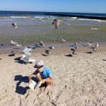 Chłopiec siedzi na plaży, trzyma książkę, wokóło lataja rybitwy