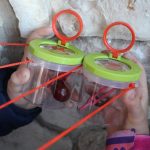 Plastikowe pojemniki wypełnione darami jesieni